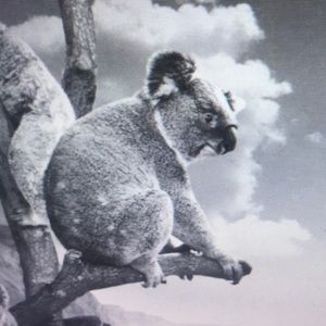 Meet your Posher, Anne